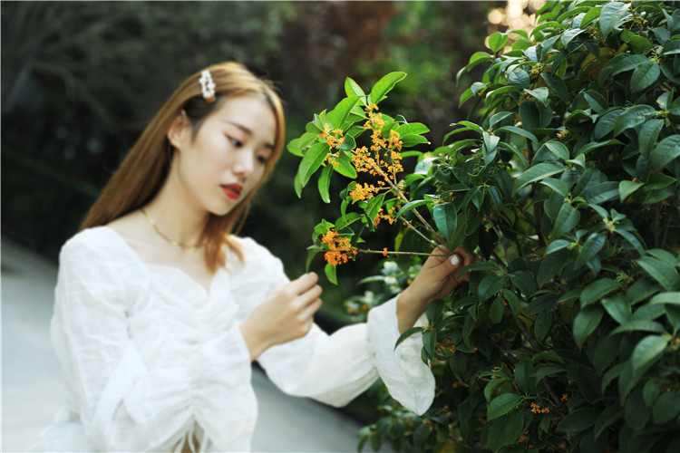 觅香